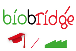 BioBridge acknowledged by Province of Groningen