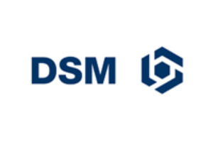 Company in the Spotlight: DSM Coating Resins