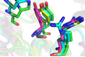 Science in focus: Biochemistry of complex glycan depolymerisation by the human gut microbiota