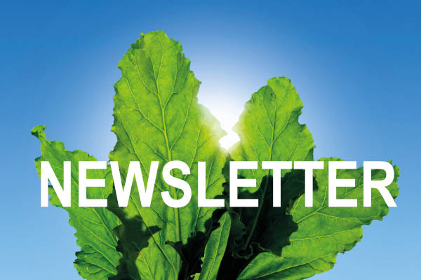 CCC Newsletter March 2020