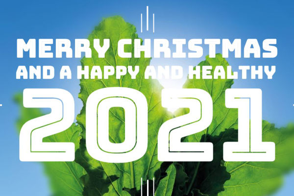 Merry Christmas and healthy, happy 2021