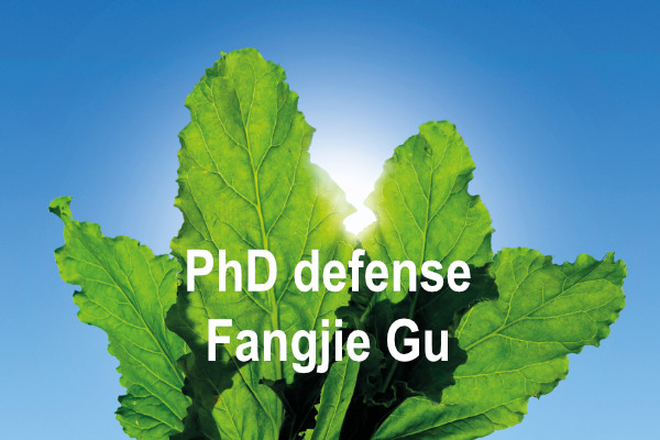 PhD defense Fangjie Gu