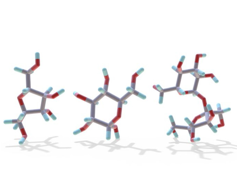 Summer Course Glycosciences