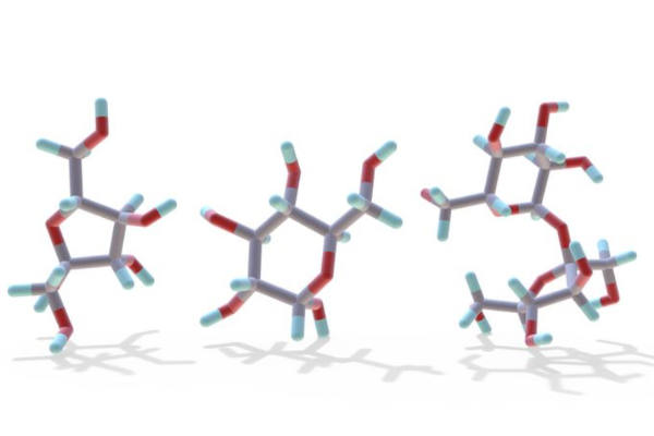 Summer Course Glycosciences (online edition)