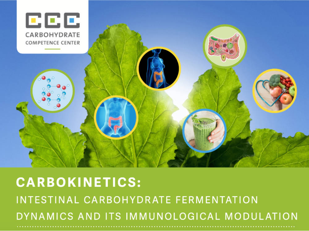 CCC Carbokinetics report 2021