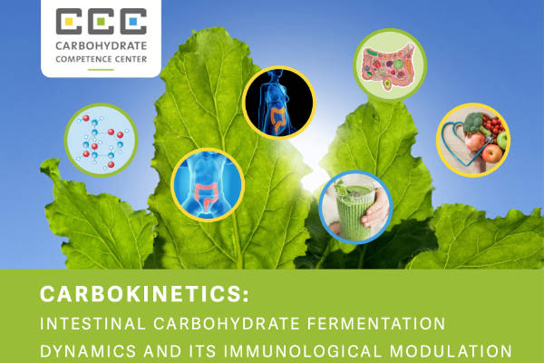 Final report of CCC NWO Carbo­ Kinetics