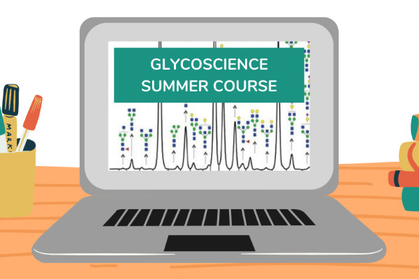 Looking back at the Glycoscience Summer Course