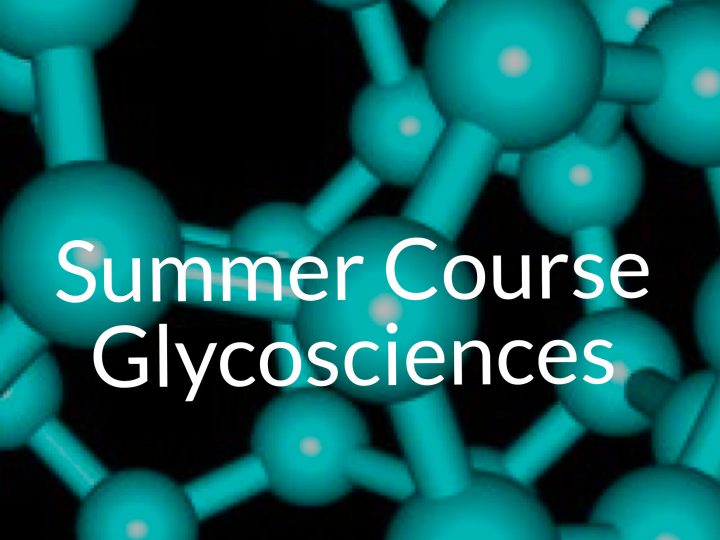 Summer Course Glycosciences